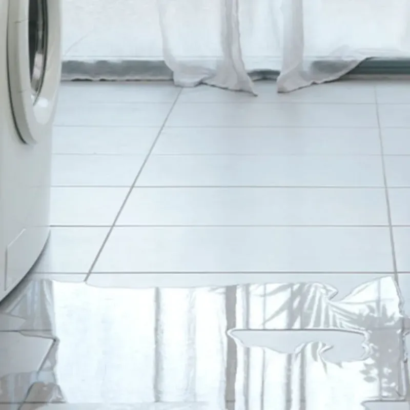 Appliance Leak Cleanup in Villa Rica, GA