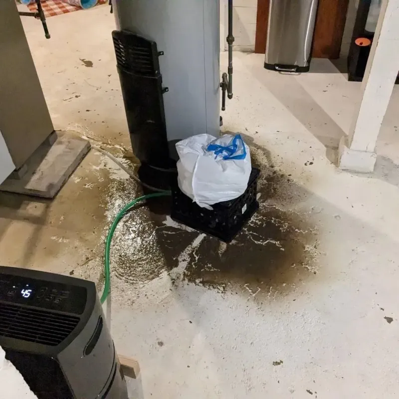 Sewage Backup Cleanup Service in Villa Rica, GA